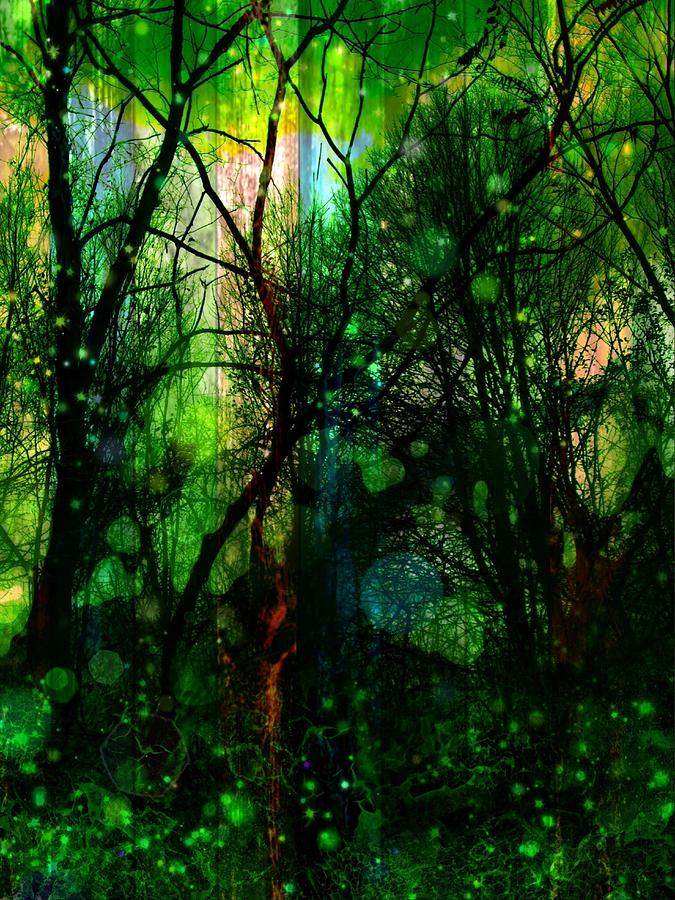 675x900 Fairy Forest Painting By Jamie Holbrook - Fairy Forest Painting