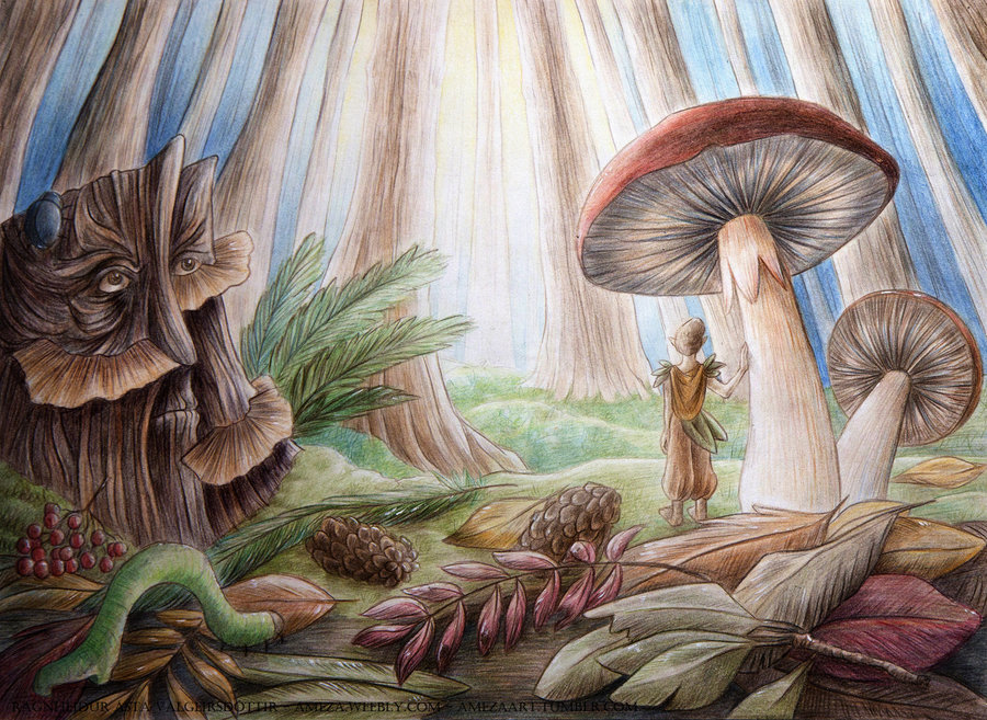 900x657 Fairy Forest By Ameza - Fairy Forest Painting. 