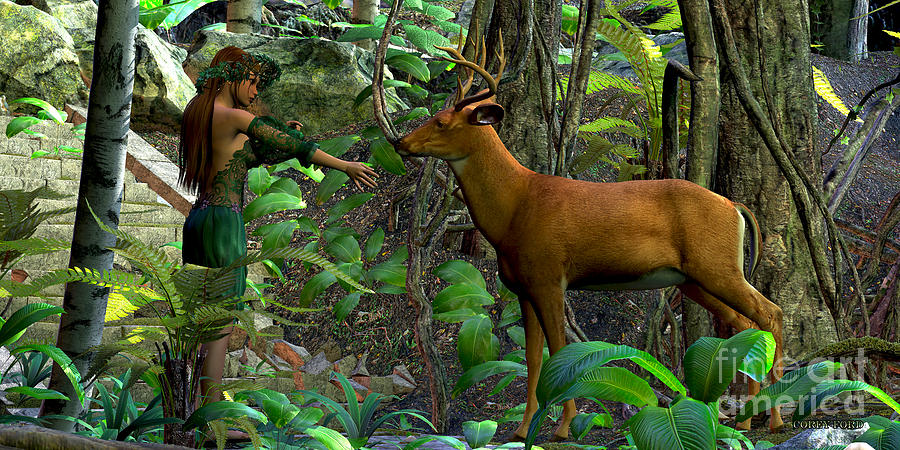 900x450 Fairy Forest Painting By Corey Ford - Fairy Forest Painting