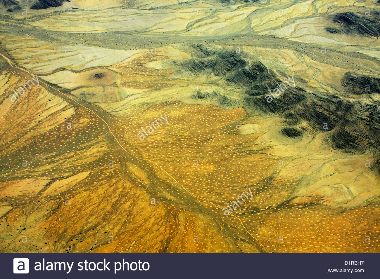 1300x956 Fairy Rings Stock Photos Amp Fairy Rings Stock Images - Fairy Ring Painting