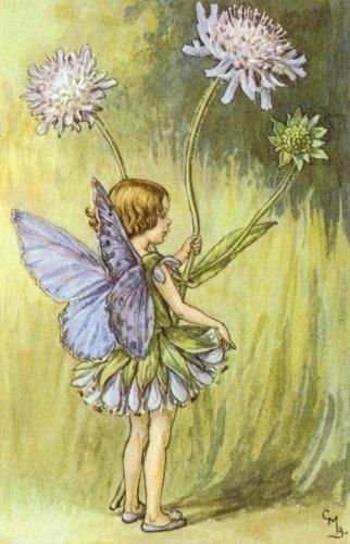 322x500 Pin By Maria Fernanda Bustos On Bebes - Fairy Ring Painting