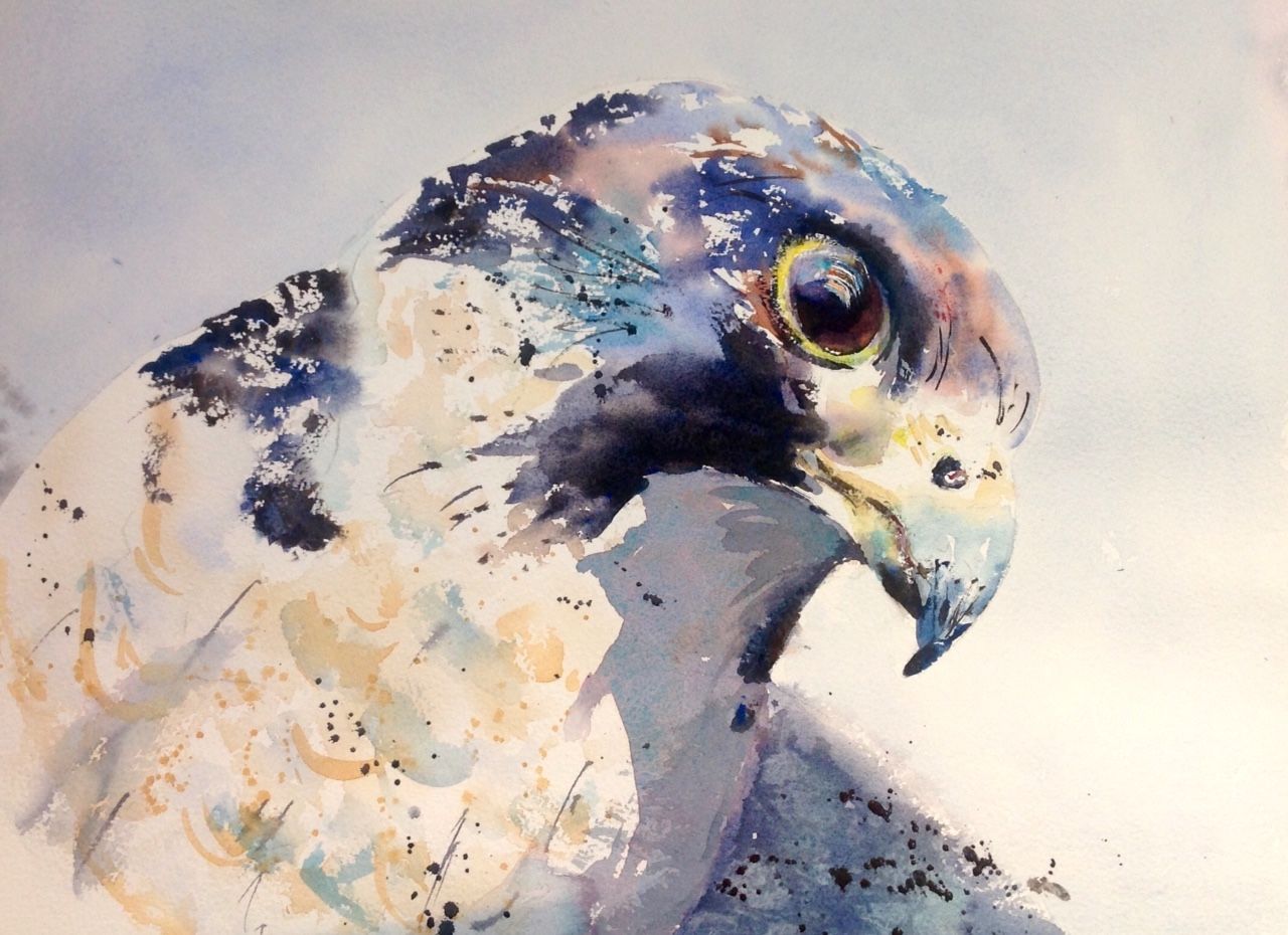 1280x930 Falcon Painting - Falcon Painting