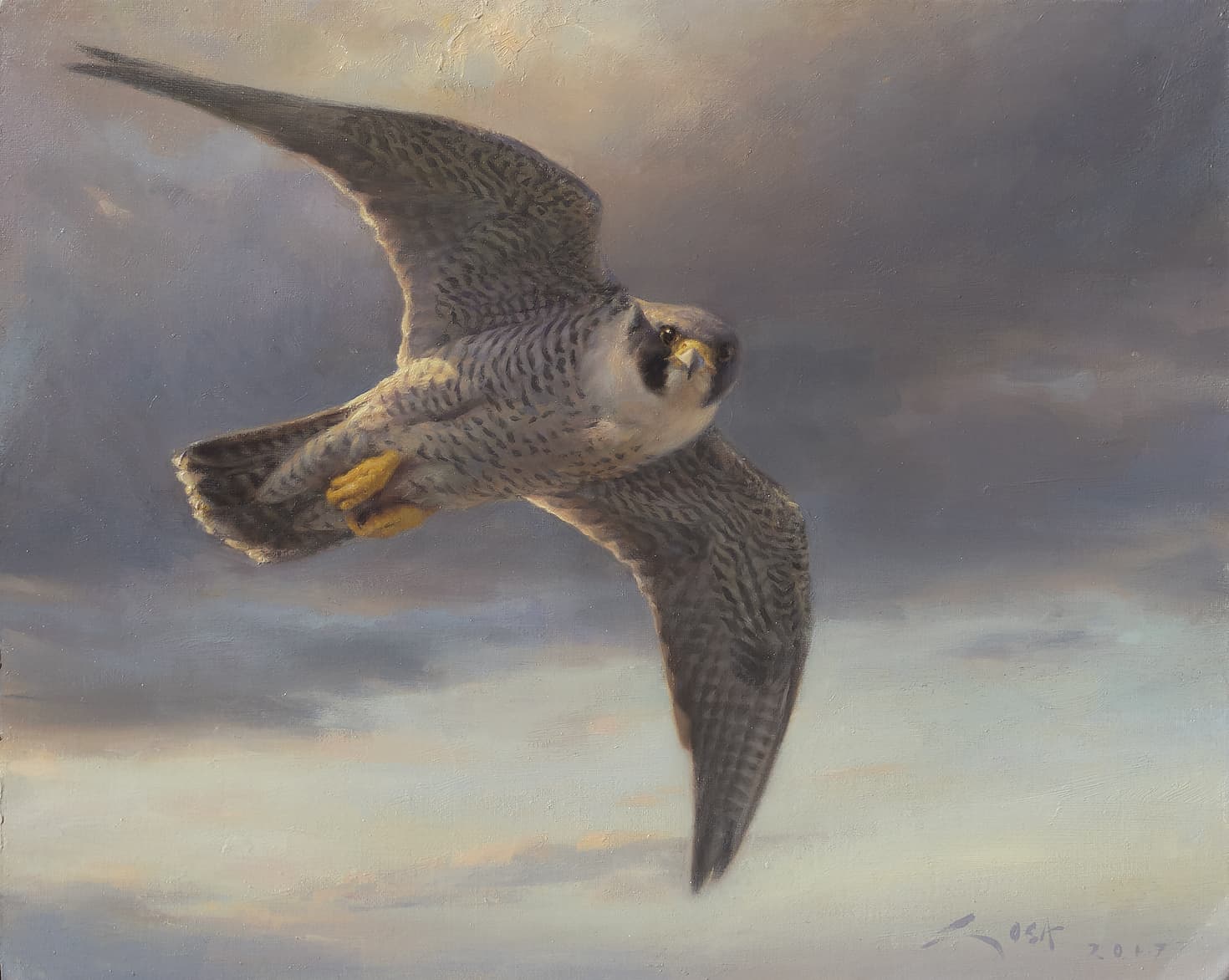 1470x1172 Peregrine Falcon Painting - Falcon Painting