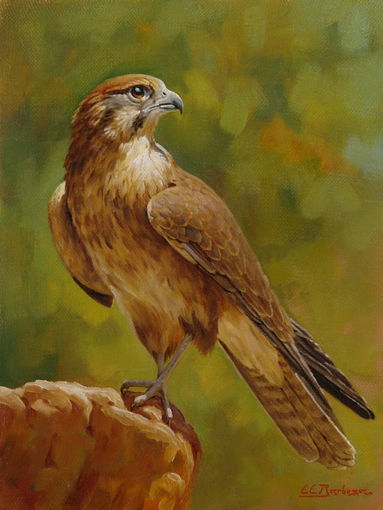 770x1025 Saatchi Art Arab Falcon Painting By Edilson Barbosa - Falcon Painting