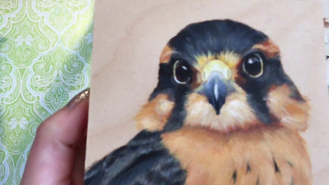 1280x720 Alpomado Falcon Painting - Falcon Painting