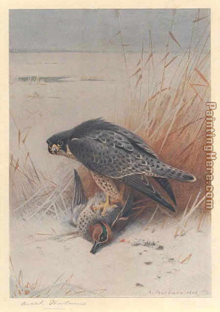 450x637 Archibald Thorburn Peregrine Falcon On Teal Painting Anysize 50 - Falcon Painting