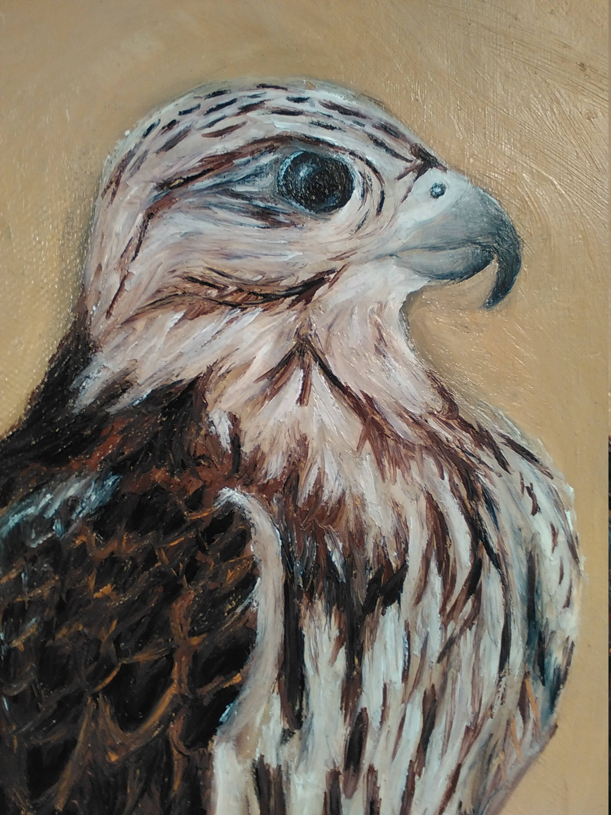 Falcon Painting at PaintingValley.com | Explore collection of Falcon ...