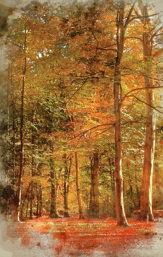 573x900 Watercolour Painting Of Vibrant Autumn Fall Forest Landscape Ima - Fall Forest Painting