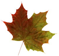 200x190 Crayon Resist Fall Leaves Painting Lesson Plan Painting For Kids - Fall Leaves Painting