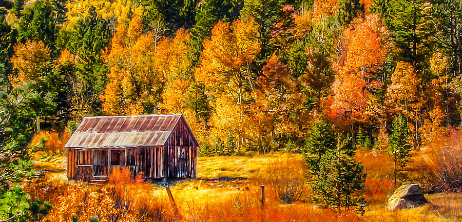 900x433 Sierra Nevada Aspen Fall Colors With Rustic Barn Painting By Scott - Fall Painting Colors