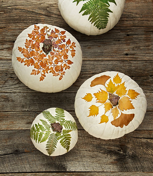 500x575 Pumpkin Weekend Pins - Fall Painting Pumpkins