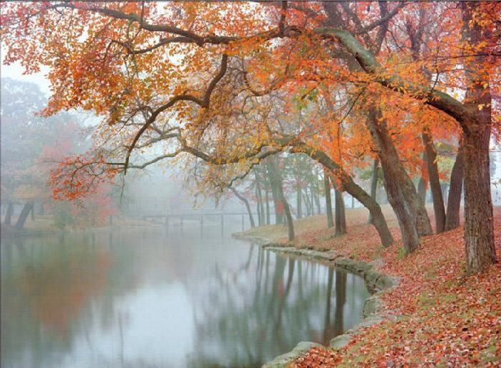 703x517 Unknown Artist Mike Jones Autumn Reflections Painting Framed - Famous Autumn Painting