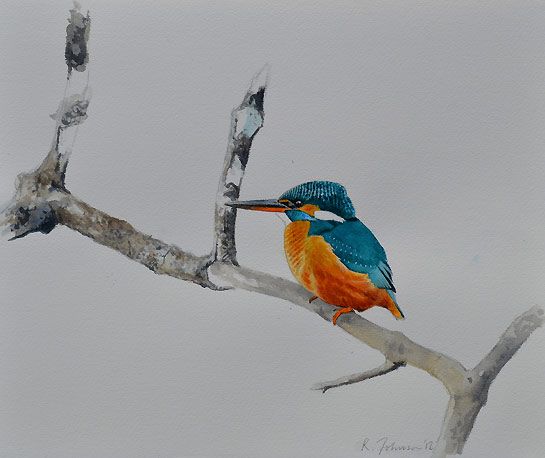 545x458 Kingfisher Bird Painting By Artist Richard Johnson Birds - Famous Bird Painting