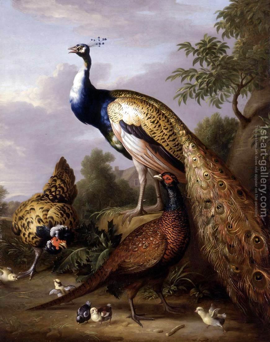 870x1100 Peacock, Hen And Cock Pheasant In A Landscape Tobias Stranover - Famous Bird Painting