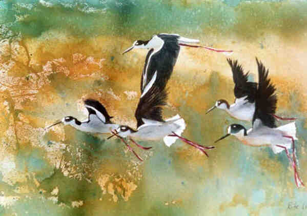 599x421 Watercolor Paintings Of Birds Weneedfun - Famous Bird Painting