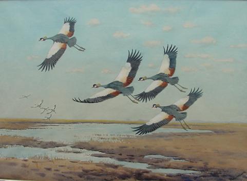 Famous Bird Painting at PaintingValley.com | Explore collection of ...