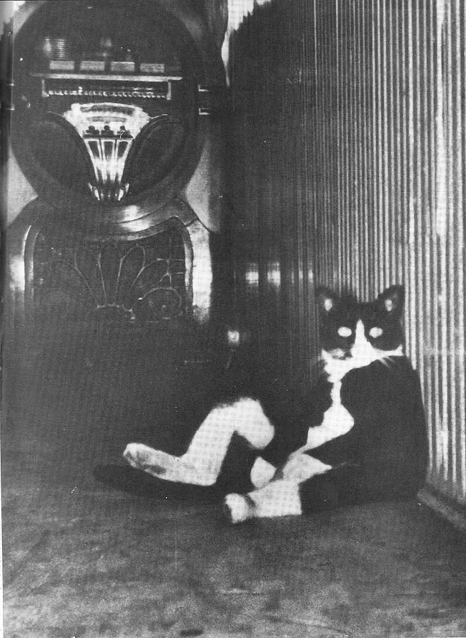 658x900 Black Cat Famous Painting Black And White Cat Famous Picture - Famous Black And White Painting