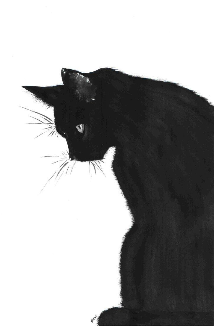 Famous Black Cat Painting at PaintingValley.com | Explore collection of ...