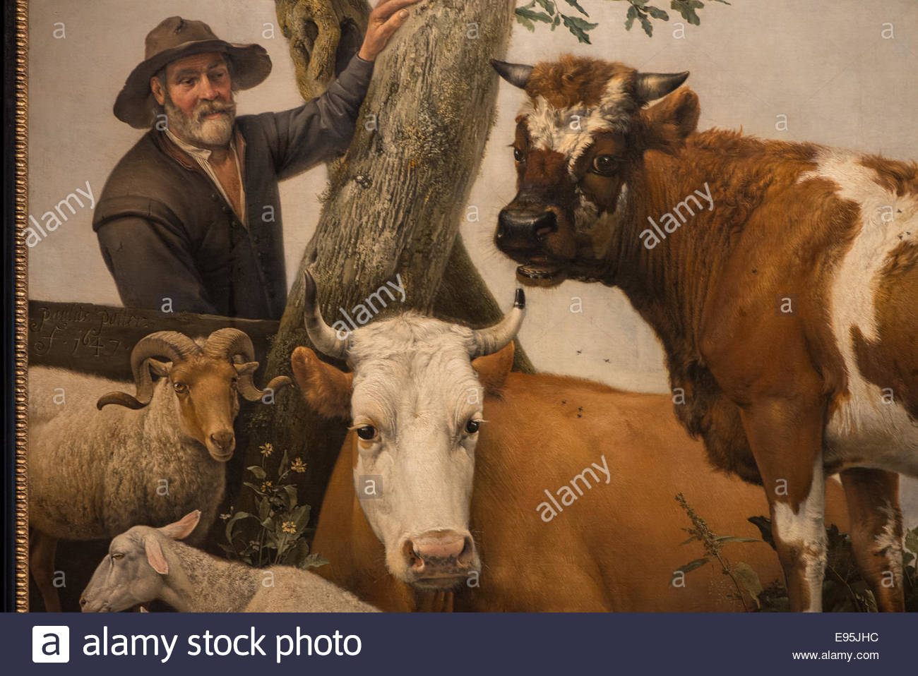 1300x958 The Famous Painting Of Paulus Potter The Bull In Mauritshuis Den - Famous Bull Painting