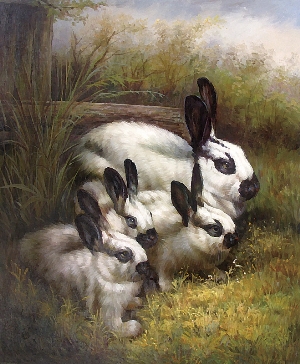 300x364 Rabbitsrabbits Oil Paintingreproductions,handmade,gallery - Famous Bunny Painting