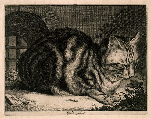 495x390 Cat's Paintings Cc's Blog For Meooow - Famous Cat Painting