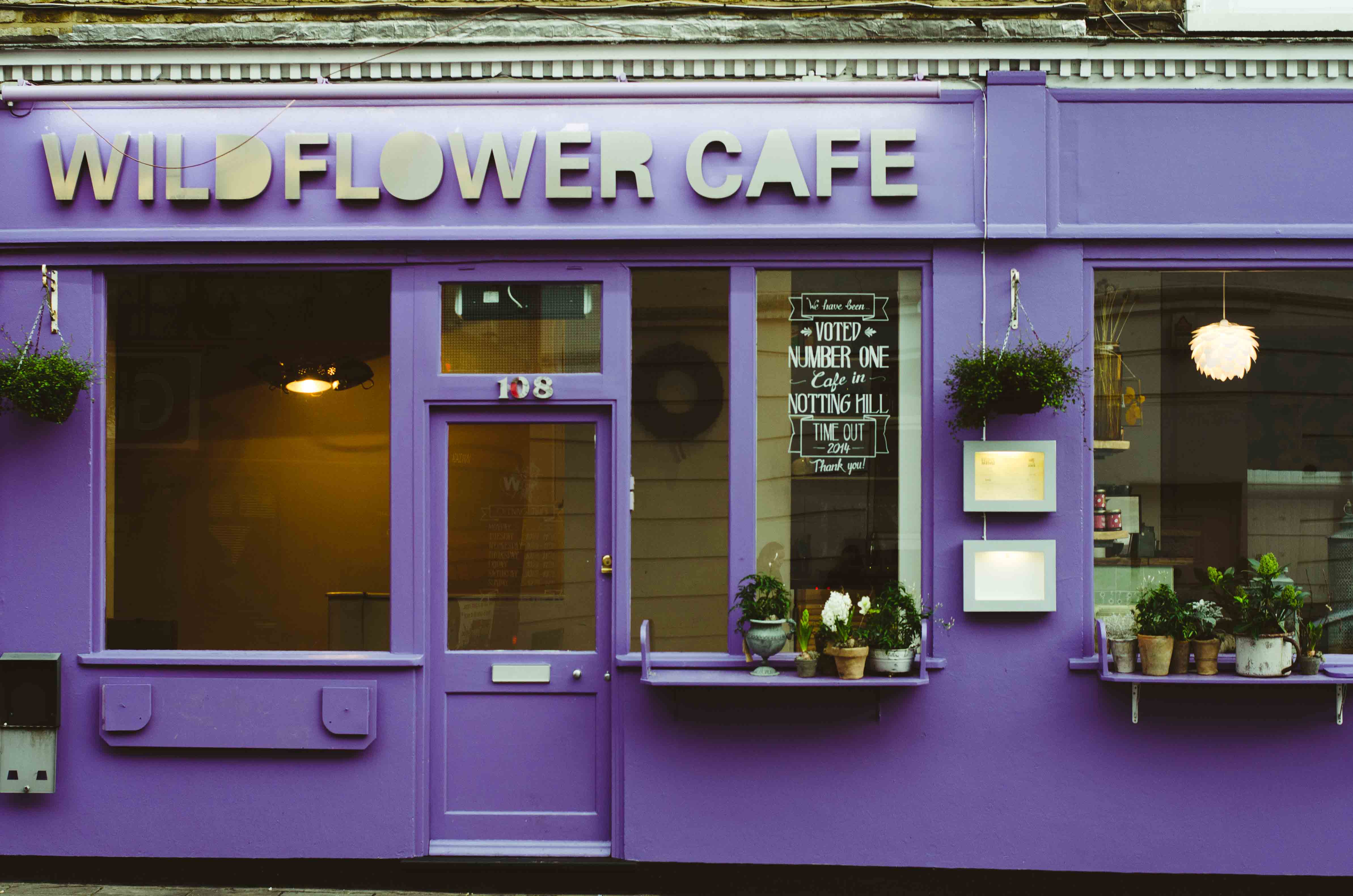 4772x3161 Where Flowers Go Wild The Curiosity. - Famous Coffee Shop Painting