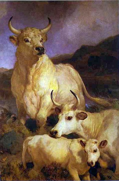 390x592 Wild Cattle Of Chillingham By Edwin Landseer - Famous Cow Painting