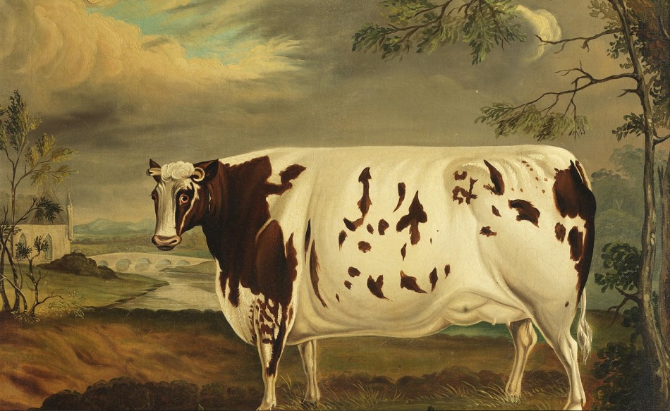 950x583 Bonhams Britain's Fattest Cow, The Craven Heifer, To Be Sold - Famous Cow Painting