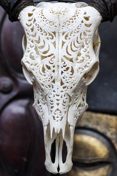 236x354 Real Hand Carved Cow Skull Amphorns Taxidermy Buffalo Antlers - Famous Cow Skull Painting