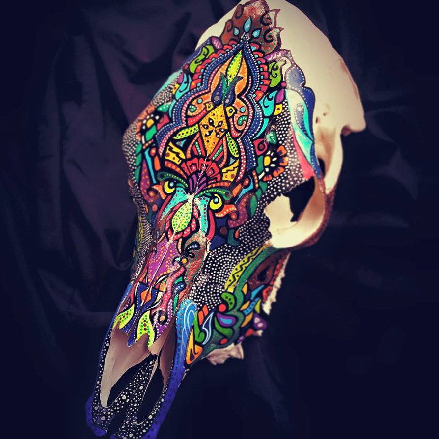 894x894 Painted Cow Skull By Sarah Rasul By Artistsarahrasul - Famous Cow Skull Painting