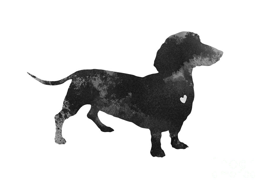 900x636 Dachshund Paintings Fine Art America - Famous Dachshund Painting