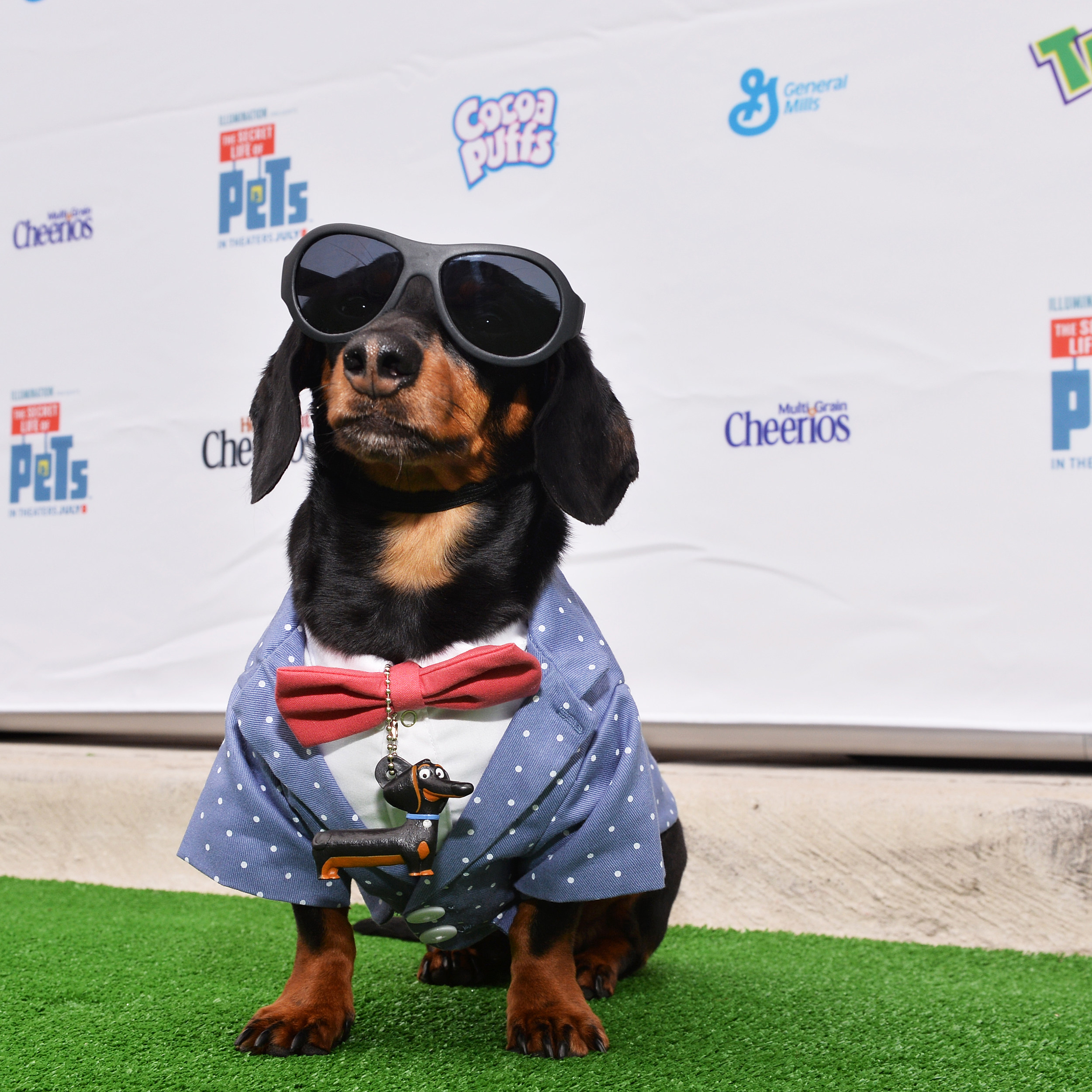 2500x2500 Dog Version - Famous Dachshund Painting