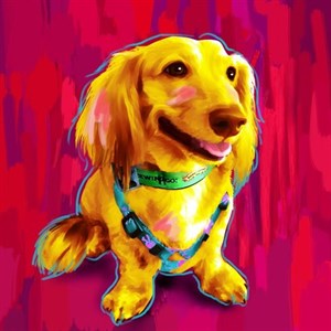 300x300 Picture To Art, Photo To Art - Famous Dachshund Painting