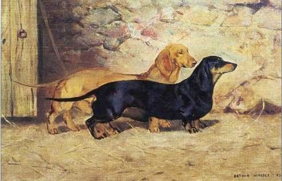 986x632 Retrieverman Natural History Page 144 - Famous Dachshund Painting