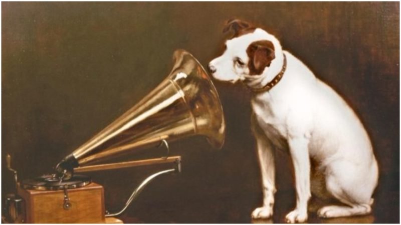 800x450 The Origins Of The Famous Jack Russell Terrier, Nipper, The Canine - Famous Dog Painting