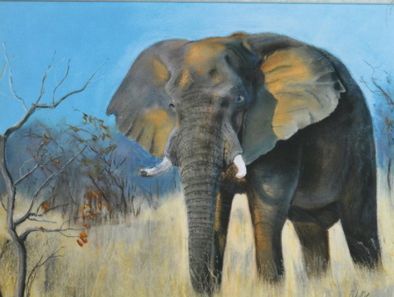 784x590 Exhibitions Gibson Gallery - Famous Elephant Painting