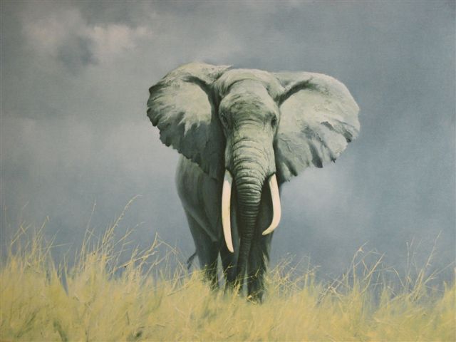 640x480 Influences Patrick Hedges - Famous Elephant Painting