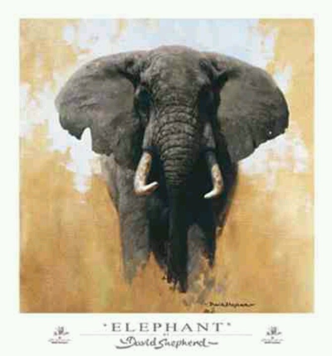 670x720 The 719 Best Art Images On Acrylic Paintings, Canvas - Famous Elephant Painting