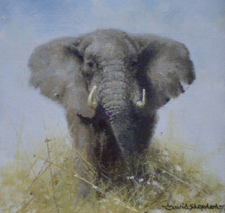 750x712 David Shepherd, Original, Elephant, Paintings - Famous Elephant Painting