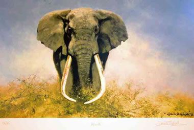 380x254 Elephant By David Shepherd All Things Elephants!! - Famous Elephant Painting