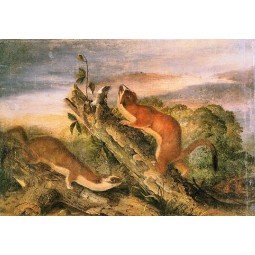 255x255 Famous Naturalism Artists - Famous Fox Painting