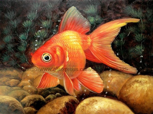 640x480 Goldfish Animal Handmade Art Large Wall Art Wall Painting - Famous Goldfish Painting