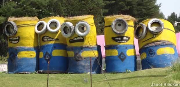 620x300 Bethel, Ny - Famous Hay Bale Painting