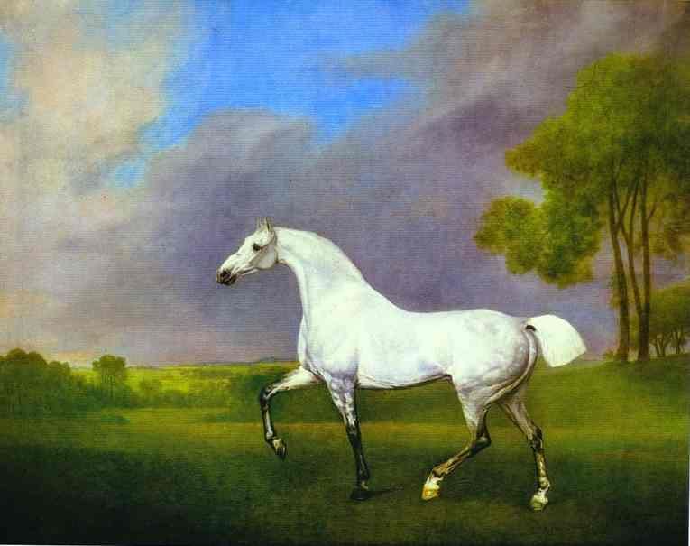 765x605 George Stubbs A Grey Horse Painting Horse, Equine Art And Horse Art - Famous Horse Painting