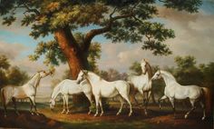 236x142 Framed Art Reproduction Oil African Animal Famous Horse Paintings - Famous Horse Painting