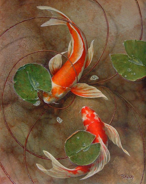 581x733 225 Best Koi Images By Martha Carroll Mccowin On Fish - Famous Koi Painting