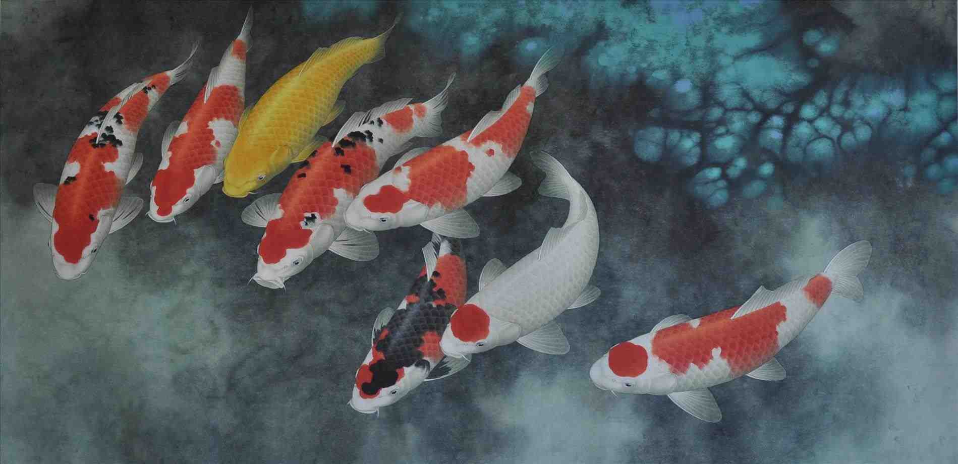 1899x920 Fish Paintings Fish Darlington Art Gallery Koi Famous Koi Fish - Famous Koi Painting