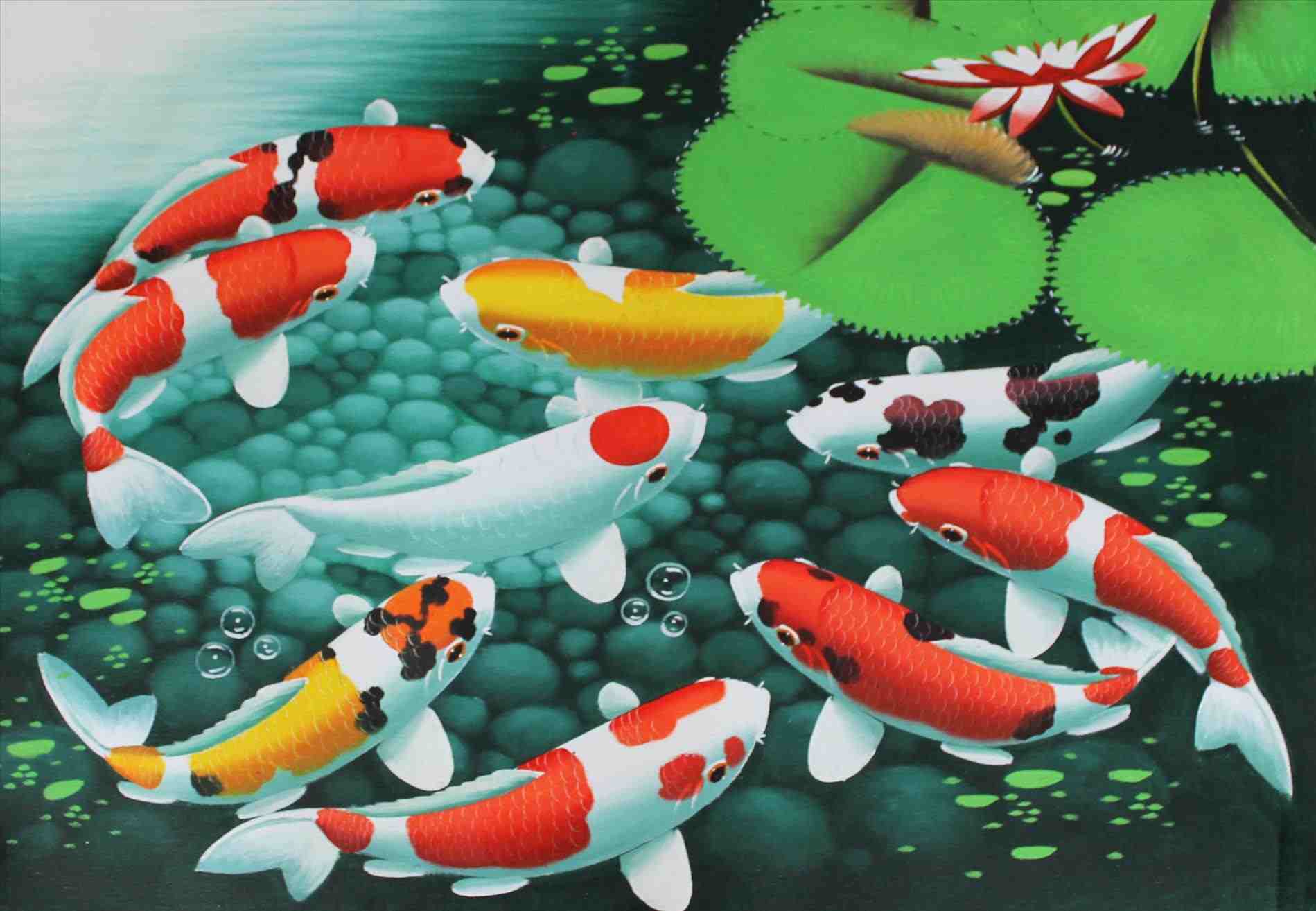 Famous Koi Painting At PaintingValley Com Explore Collection Of   Famous Koi Painting 13 