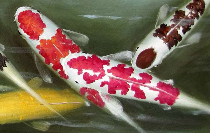 720x459 Koi Fish Painting Graphics Code Comments 91663 - Famous Koi Painting