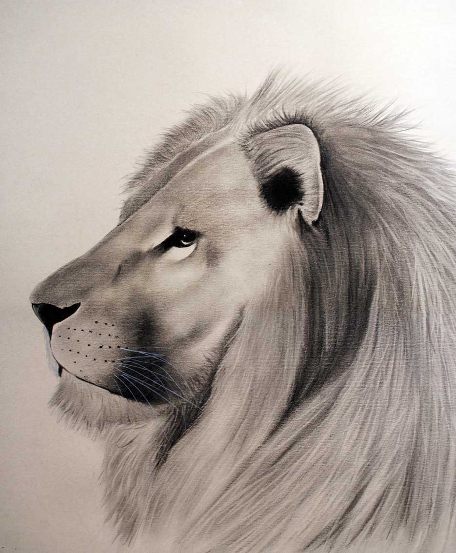 935x1134 Lion Lion Thierry Bisch Animal Painter Threatened Species - Famous Lion Painting
